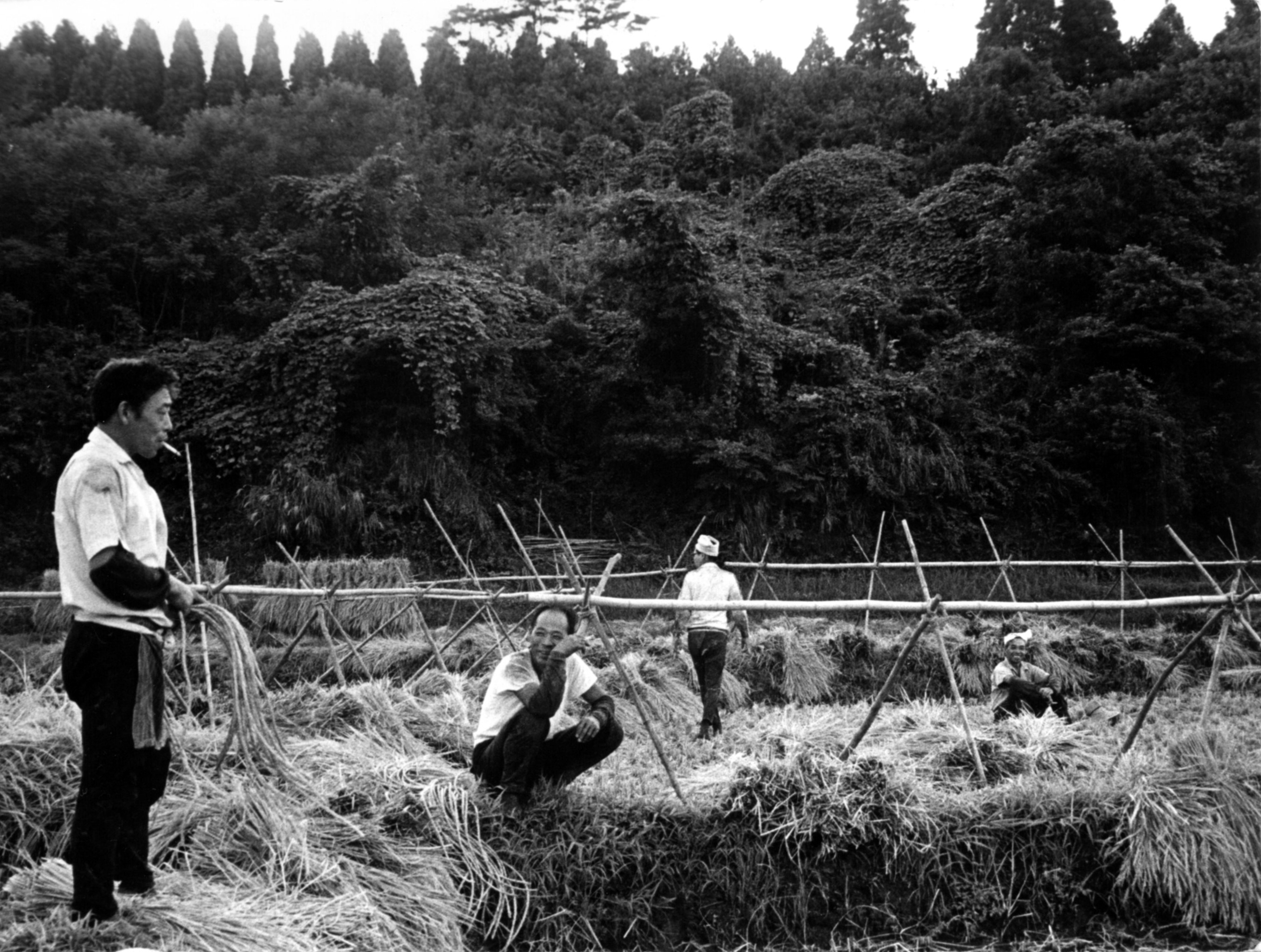 三里塚・辺田部落