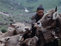 我ら山人たちー我々山国の人間が山間に住むのは、我々のせいではない