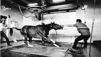 競馬場