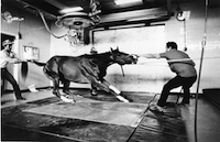 競馬場
